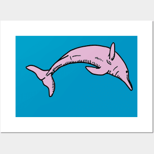 Pink river dolphin Posters and Art